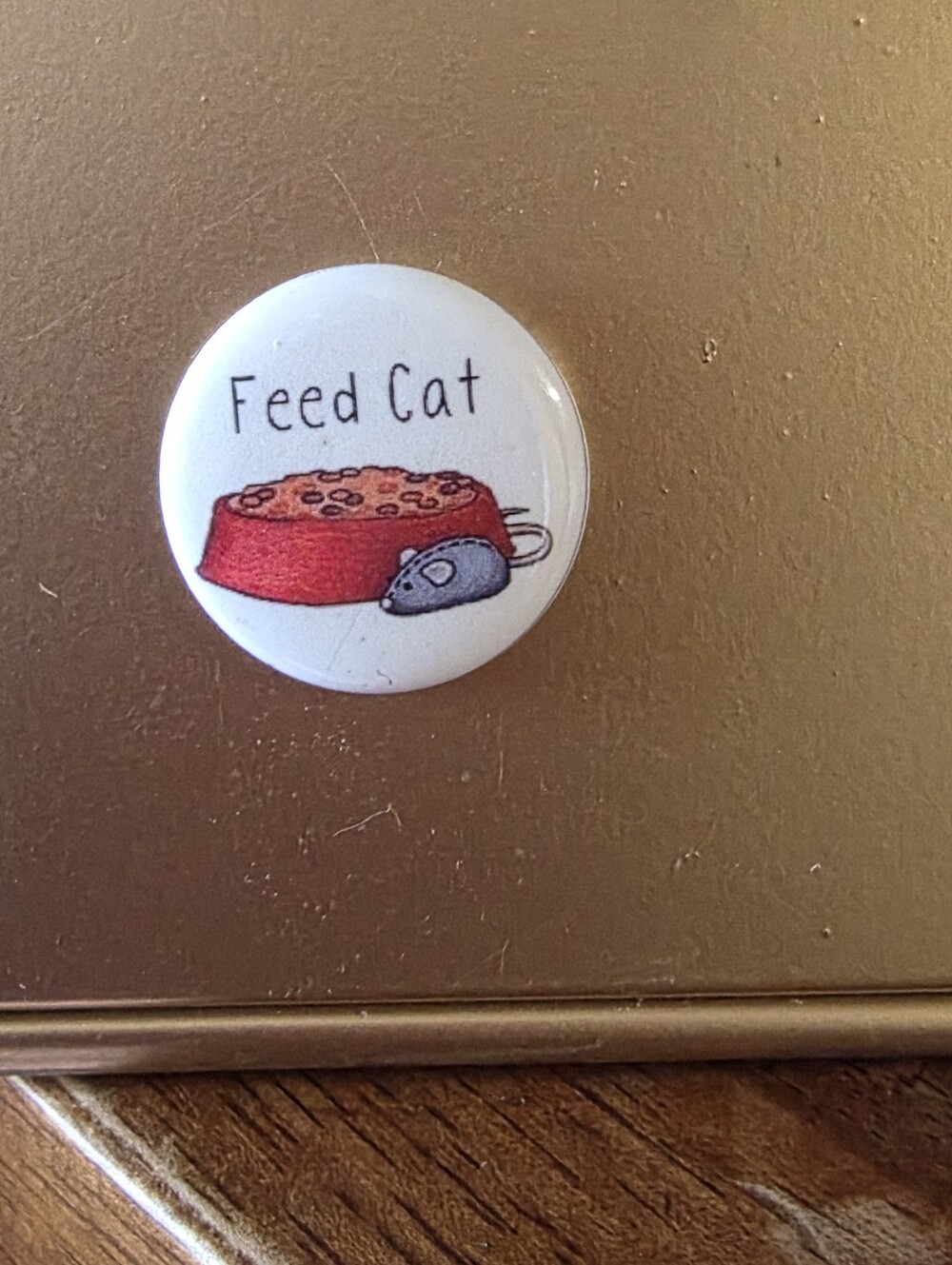 chores to do small magnet feed cat